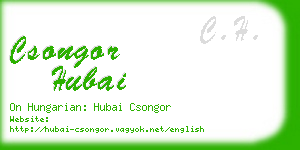 csongor hubai business card